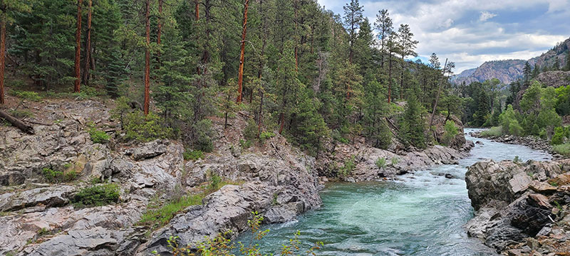Animus River in the San Juan Mountains